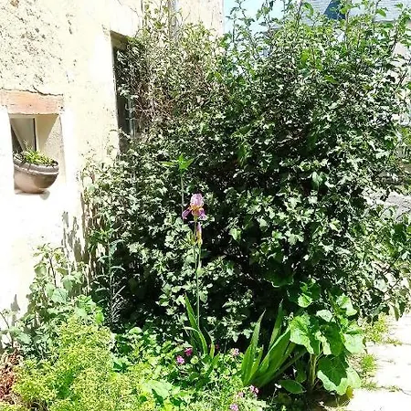 Logis Proche Des Plages Du Debarquement Apartment